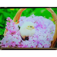 55인치 구글 스마트 티비 UHD SMART TV 4K HDR10 미러링