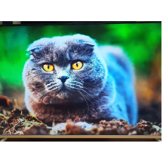 55인치 구글 스마트 티비 UHD SMART TV 4K HDR10 미러링