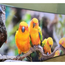 삼성 65인치 커브드TV (UN65JS9000F)팝니다