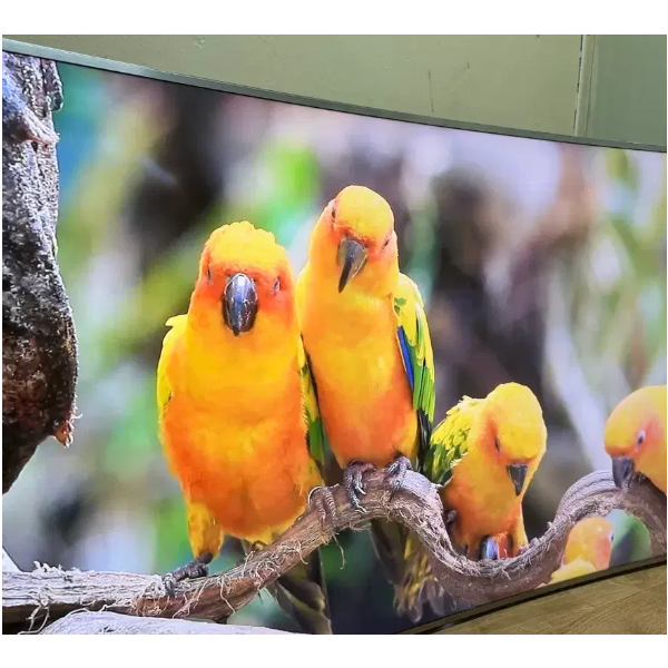 삼성 65인치 커브드TV (UN65JS9000F)팝니다